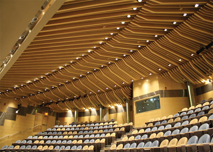 Ceiling Panels Project
