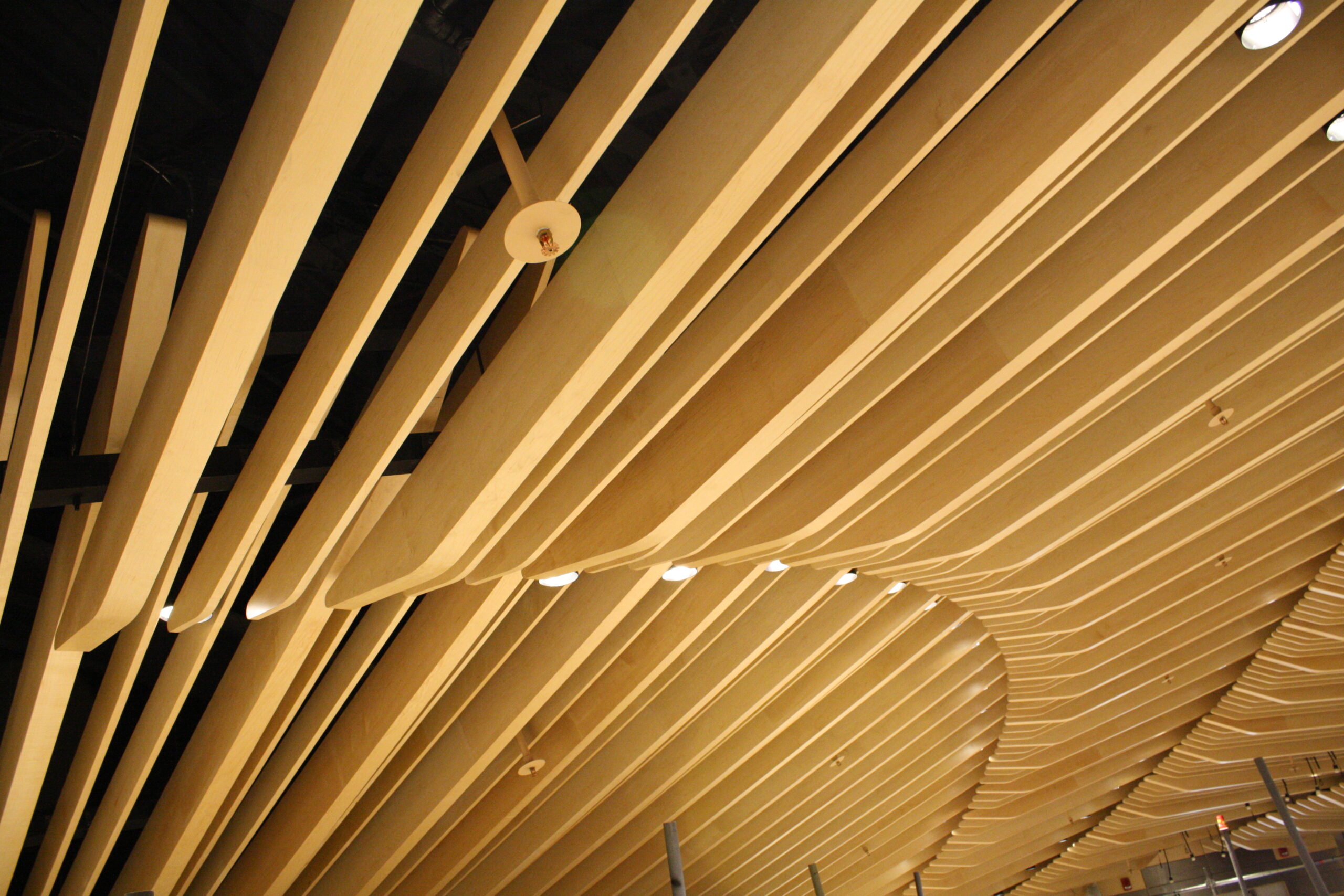 London Hospital Lecture Theatre Think Lightweight Royal Plywood Ceiling Baffles Ceiling Beams Ceiling Beams near me Ceiling Baffles near me Ceiling laminate beams